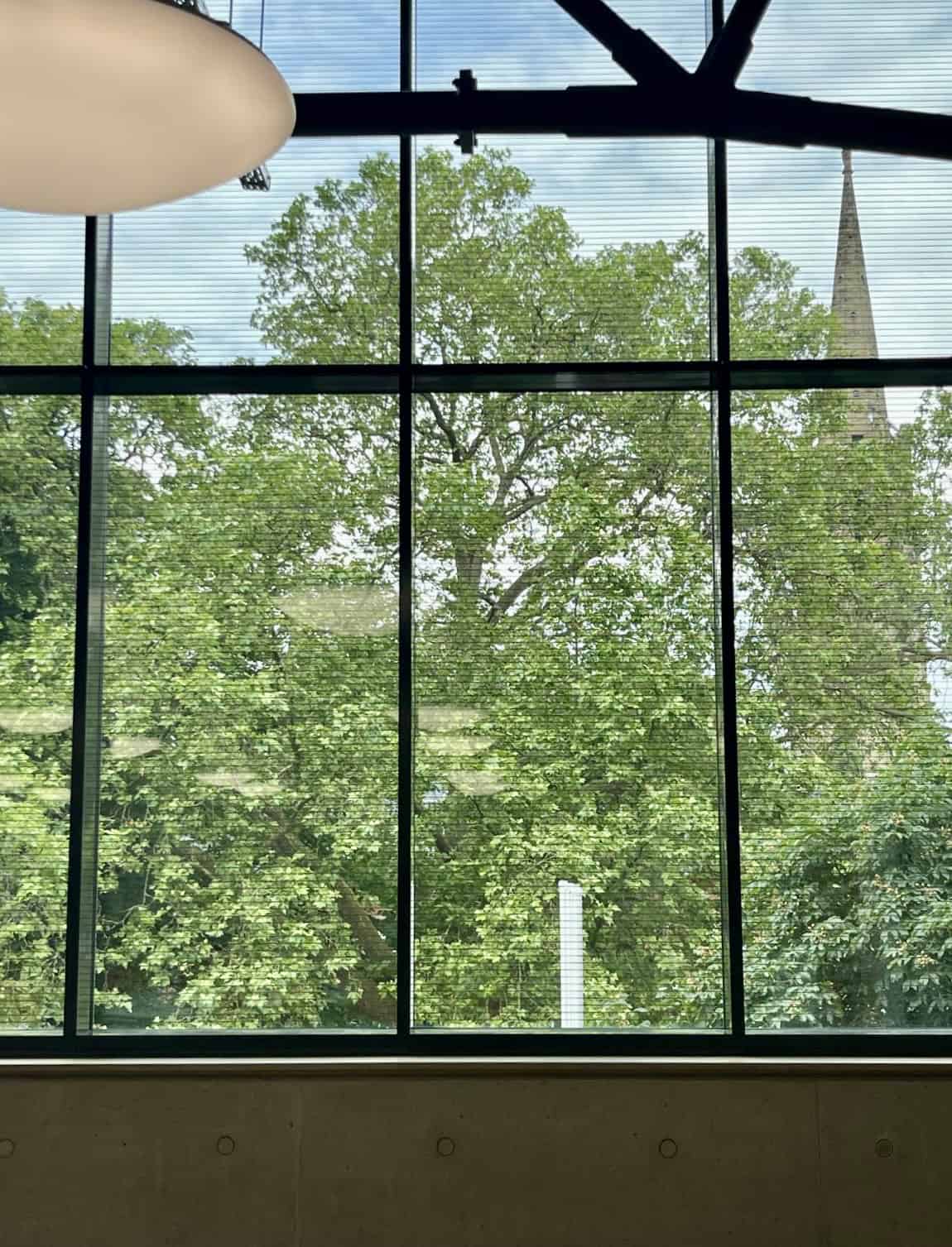 Ausblick