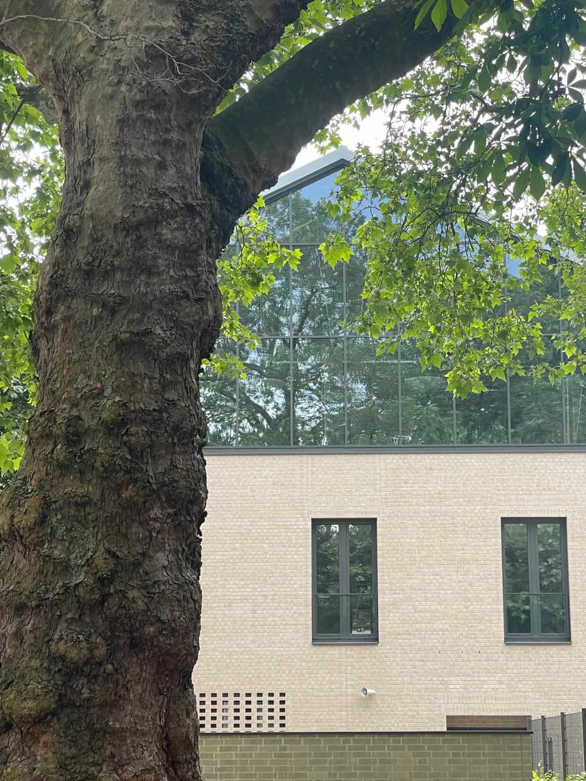 Baum vor Neubau